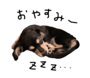 395131258