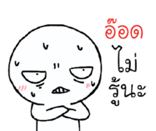39520813