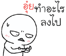 39526046