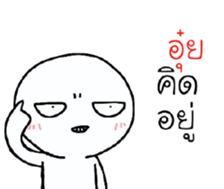 39526051