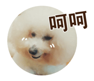 395268343
