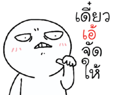39527571