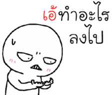 39527574