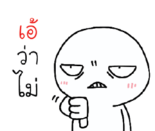 39527575