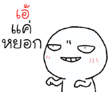 39527577