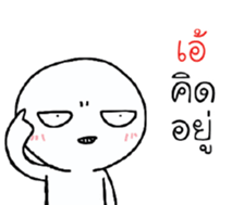 39527579