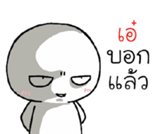 39528533