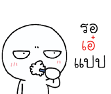 39528554