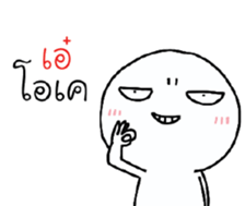 39528555