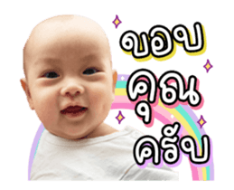 395308008