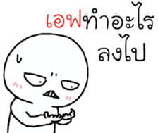 39531294