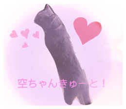 395361746