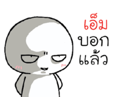 39537813