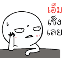 39537816