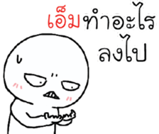 39537822