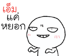 39537825