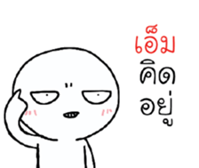 39537827