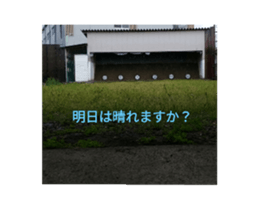 395416767