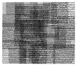 395443074