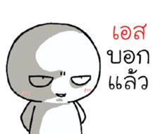 39544645