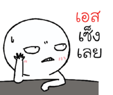 39544648