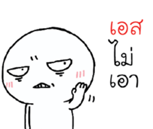 39544653