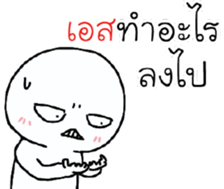 39544654