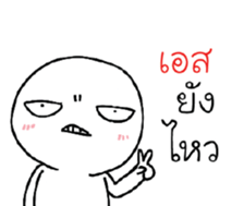 39544660