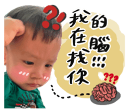 395448027