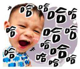 395448037