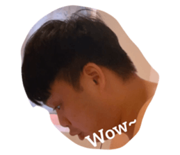 395493751