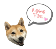 395501185