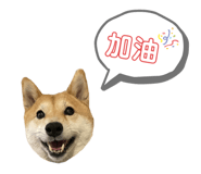 395501195