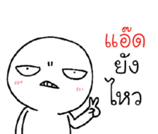 39551380