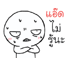 39551381