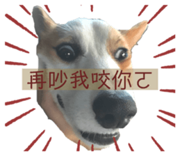 395517699