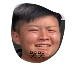 395531338
