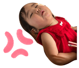 395551245