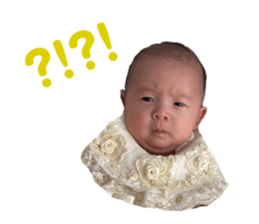 395552263