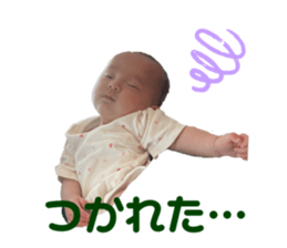 395552276