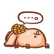 395567