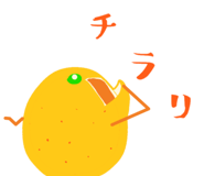 395581008