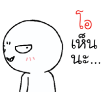 39558241
