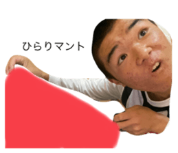 395590061