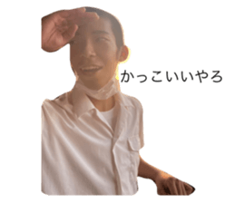 395590076