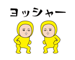 395594798