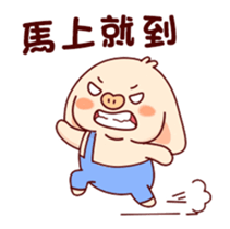 395617677