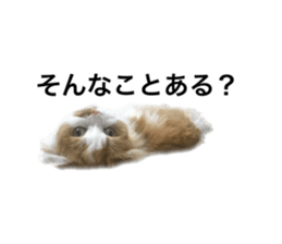 395650151