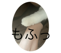 395650162