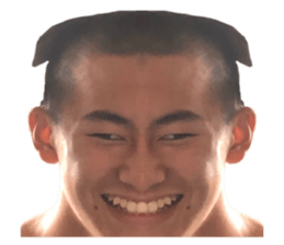 395656118